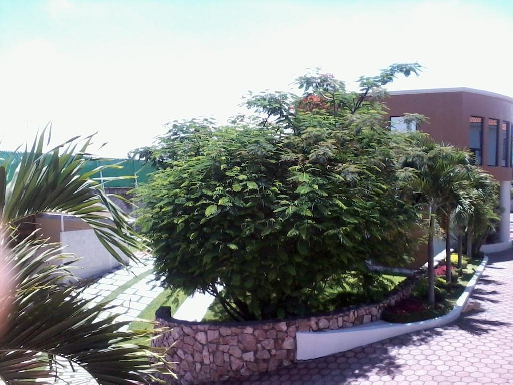 Hotel - Motel Pasion Yecapixtla Kültér fotó